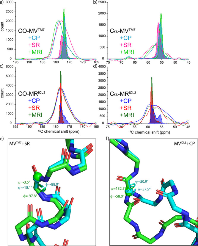 Comparison of CO (a, c) and Cα (b, d) regions of the NCOCX spectra of ligand-bound MVTM7-CB2 and MRICL3-CB2 with predicted chemical shift distributions obtained from the MD traces. The spectra are arbitrarily scaled and the y axis shows the number of counts from the MD traces. (e) Region around CO (sphere) in M293 in TM7 in the presence of SR-44,528 with the dihedral angles of M293 in two snapshots of the MD trajectories: green and cyan correspond to a CO chemical shift prediction of 176.6 and 177.6 ppm, respectively. (f) Region around Cα (sphere) in M237 in ICL3 in the presence of CP-55,940 with the dihedral angles of M237 in two snapshots of the MD trajectories: green and cyan correspond to a Cα chemical shift prediction of 55.4 ppm and 58.4 ppm, respectively.