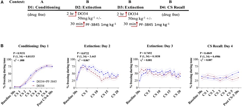 AEA augmentation does not reverse impaired extinction after DAGL inhibition. (A) Schematic diagram of the experimental paradigm. (B) (Far left panel) % freezing by C57BL/6J male mice during acquisition of cue-conditioned fear. (Middle panels) % freezing during auditory cue by mice during extinction training days 2 and 3 when DO34 (50 mg kg−1) was injected alone or in addition to PF-3845 (FAHH inhibitor 1 mg kg−1) IP 2 h prior to trial. (Far right panel) % freezing during extinction recall (n = 18 male mice per condition). F- and P-values and η2 for main effect of drug shown in each panel. All values are presented as mean ± SEM.