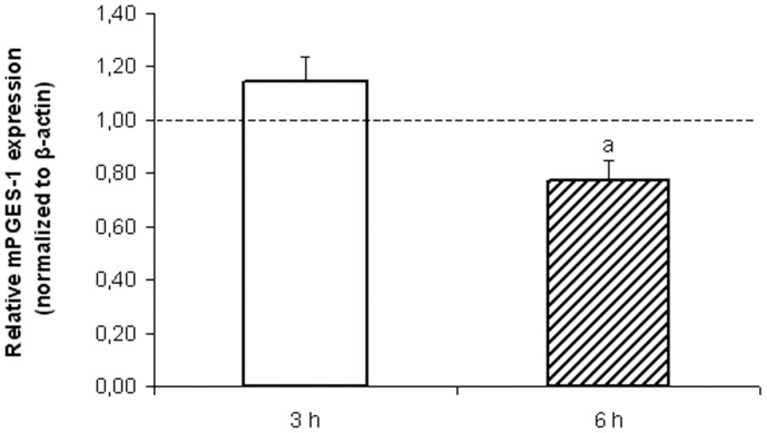 Quantitative real-time PCR analysis of mPGES-1 expression.Uterine explants were incubated without/with m-AEA (100 nM) for 3 h and 6 h and then subjected to qPCR analysis. Data was normalized against β-actin and mPGES-1 mRNA levels under control conditions (no m-AEA) were set to 1 (dotted line). Experiments were independently run three times. In each experiment, cDNA samples were performed in triplicate. Student t Test. a, p<0.05 vs control. n = 9.