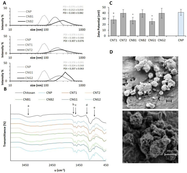Image A shows three distribution graphs of particle size and intensity for CNP, CNB, and CNG samples. Image B displays transmittance spectra for various materials, with labeled peaks a-e. Image C is a bar graph comparing zeta potential of different samples, with CNP having the highest value. Image D contains two electron microscope images showing detailed surface morphology of particles at different scales.