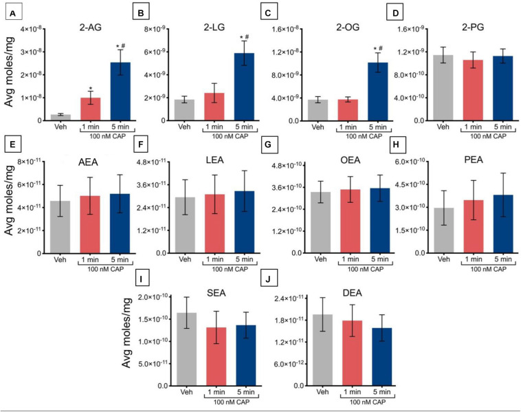 Changes in lipid levels of 2-acyl glycerols (A–D) and N-acyl ethanolamines (E–J) after TRPV1-HEK293 cells incubated in 100 nM capsaicin (CAP) for 1 min or 5 min. Significant changes in lipid levels when comparing capsaicin-induced changes after 1 min or 5 min to vehicle is indicated by * (p ≤ 0.05). Significant changes in lipid levels when comparing capsaicin-induced changes after 1 min of incubation vs. 5 min of incubation is indicated by # (p ≤ 0.05). Data were averaged over 12 total data points per condition (n = 3 individual experiments) and presented as average moles/mg (y-axis).