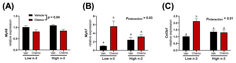 Heart gene expression of (A) Myh6, (B) Myh7, and (C) Col3a1. Data presented as group means ± SEM (n = 5/group). A two-way ANOVA with a diet x chemo interaction was used to detect the differences between factors. Pairwise comparisons for variables with significant interactions were performed using a Tukey’s post hoc test. Variables with different annotations were different at p < 0.05. Veh—saline vehicle injections; Chemo—9 mg/kg anthracycline + 90 mg/kg cyclophosphamide injections; Low n-3—0 g/kg EPA + DHA diet; High n-3—12.2 g/kg EPA + DHA diet (~2% kcal).