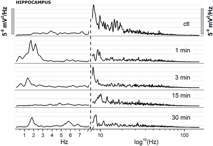 Spectrum analysis (FFT) of 30 s EEG segments of the figure at definite arbitrary time points (1, 3, 15, 30 min). Two different Y scales (right vs. left, 1/10 ratio), has been adopted. The X axis has been broken, with linear values from 0.05 to 8 Hz, and logarithmic from 8.1 to 150 Hz.