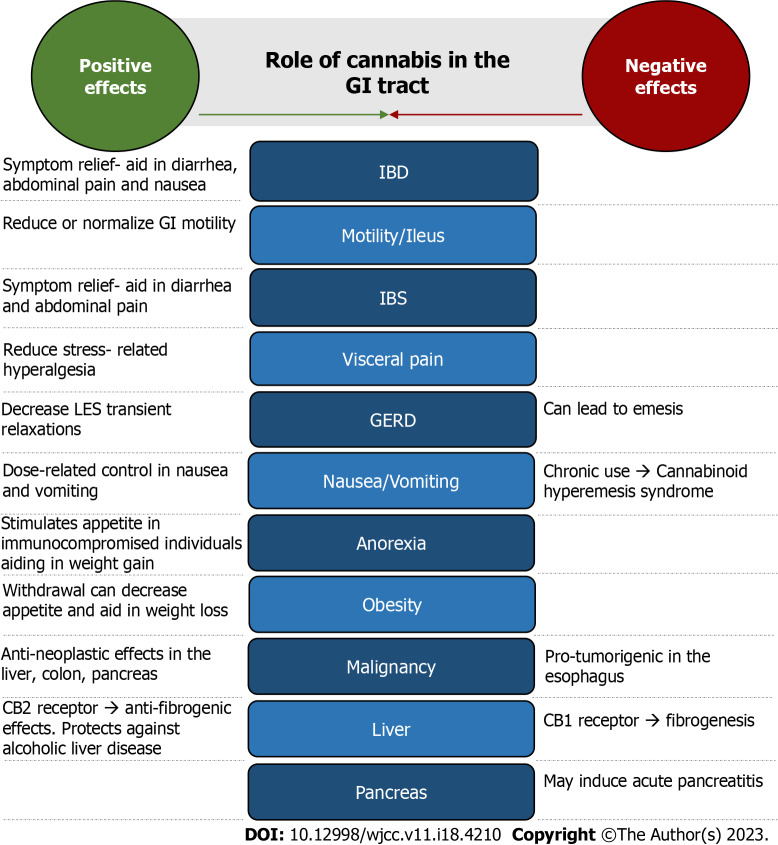 Role of cannabis on the gastrointestinal tract. GI: Gastrointestinal; IBD: Inflammatory bowel disease; IBS: Irritable bowel syndrome; GERD: Gastroesophageal reflux disease; CB1: Cannabinoid receptor type 1; CB2: Cannabinoid receptor type 2.