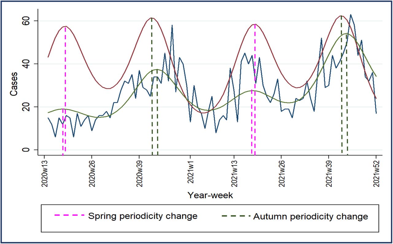 C. parvum model including forecast had COVID-19 not occurred and spring and autumn periodicity changes, England and Wales, 2020 week 13 to 2021 week 52