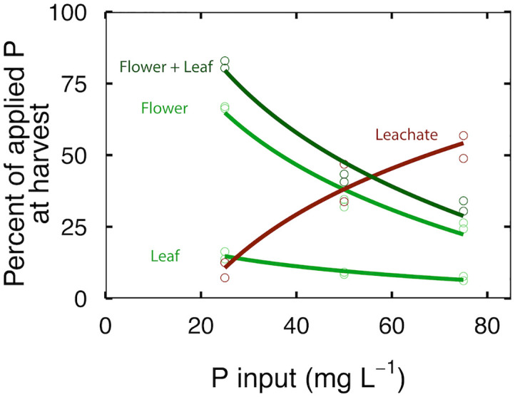The effect of P input on recovery of P in flowers, leaves, and leachate. Each point represents plants in three separate containers that shared a common leachate collection tray. Curves represent second order polynomial functions fitted to the data.