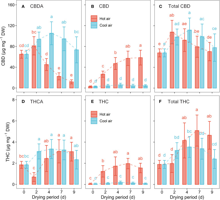 Cannabinoid concentration in cannabis flowers during the drying period according to hot-air and cool-air drying methods: CBDA (A), CBD (B), total CBD (C), THCA (D), THC (E), and total THC (F). Bars and vertical bars indicate mean ± SD (n = 10). Different letters indicate significant differences among drying method and period at p< 0.05 by two-way ANOVA and Tukey’s HSD test.
