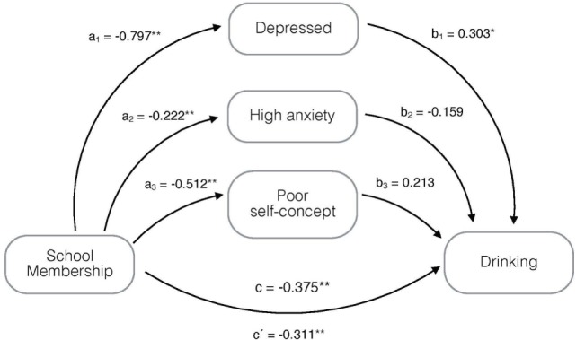 Mediation model, adjusted for age and gender, on the association of school membership with drinking mediated by being depressed, having high anxiety and poor self-concept. *p < 0.05, **p ≤ 0.001; a1–a3, b1–b3, c = regression coefficients; and c′ = regression coefficient between the independent variable and dependent variable adjusted by the mediating effect.