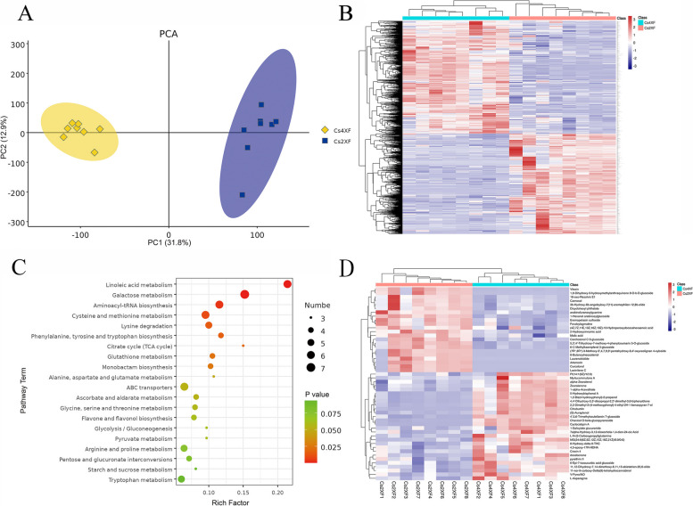 Differentially expressed metabolites (DEMs) following polyploidization. A Principal component analysis (PCA) score plot of metabolite profiles between Cs4XF and Cs2XF. B Heat map of DEMs based on hierarchical clustering analysis. C Kyoto Encyclopedia of Genes and Genomes (KEGG) pathway annotation of DEMs. Copyright permission has been granted for related KEGG images. D Heat map of top 50 DEMs based on hierarchical clustering analysis