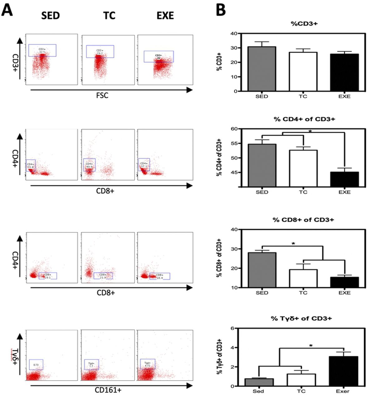 Changes in the composition of splenocyte populations related to the adaptive immune response.(A) Representative dot plot of the cytometric analysis of the subpopulation percentages. (B) Determination of splenocyte populations from the adaptive immune response in the different groups: SED, TC and EXE; data from 4 independent experiments are expressed as mean ± SE. Subpopulation that showed statistically significant changes were: T helper lymphocytes (ANOVA, p=0.0008, n=5) and Tγδ lymphocytes (ANOVA, p=0.0002, n=10). T lymphocytes (ANOVA, p=0.3739, n=12), cytotoxic T lymphocytes (ANOVA, p=0.0016, n=12). * Means statistically different from the two other groups, P<0.05.