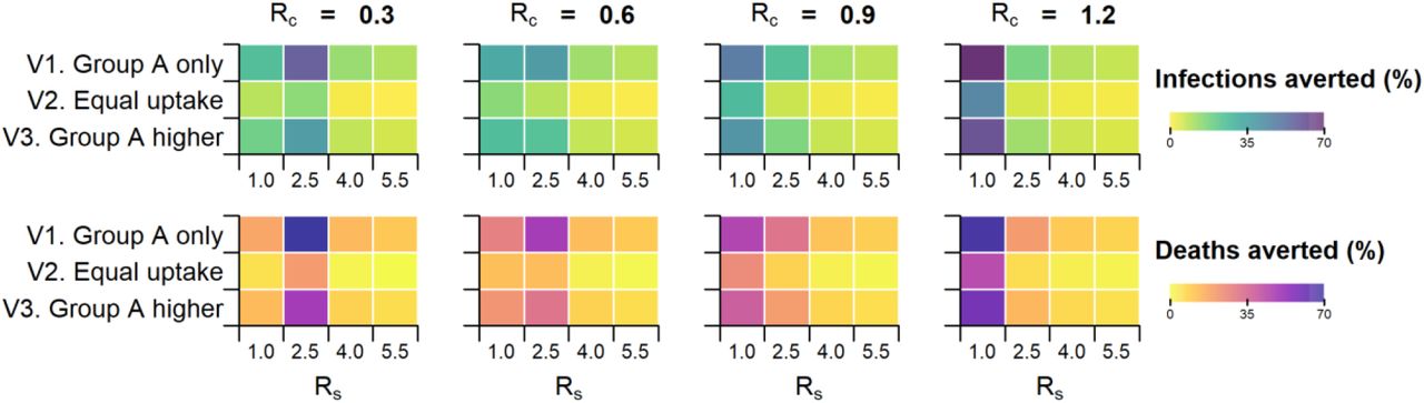 Reduction in disease burden by the three proposed vaccination strategies.Group A refers to the sexually active subpopulation. The measures to quantify the decrease include the proportion of local infections (Row 1) and deaths (Row 2) averted compared to scenarios without vaccination over the 18 months following the initial importation event.