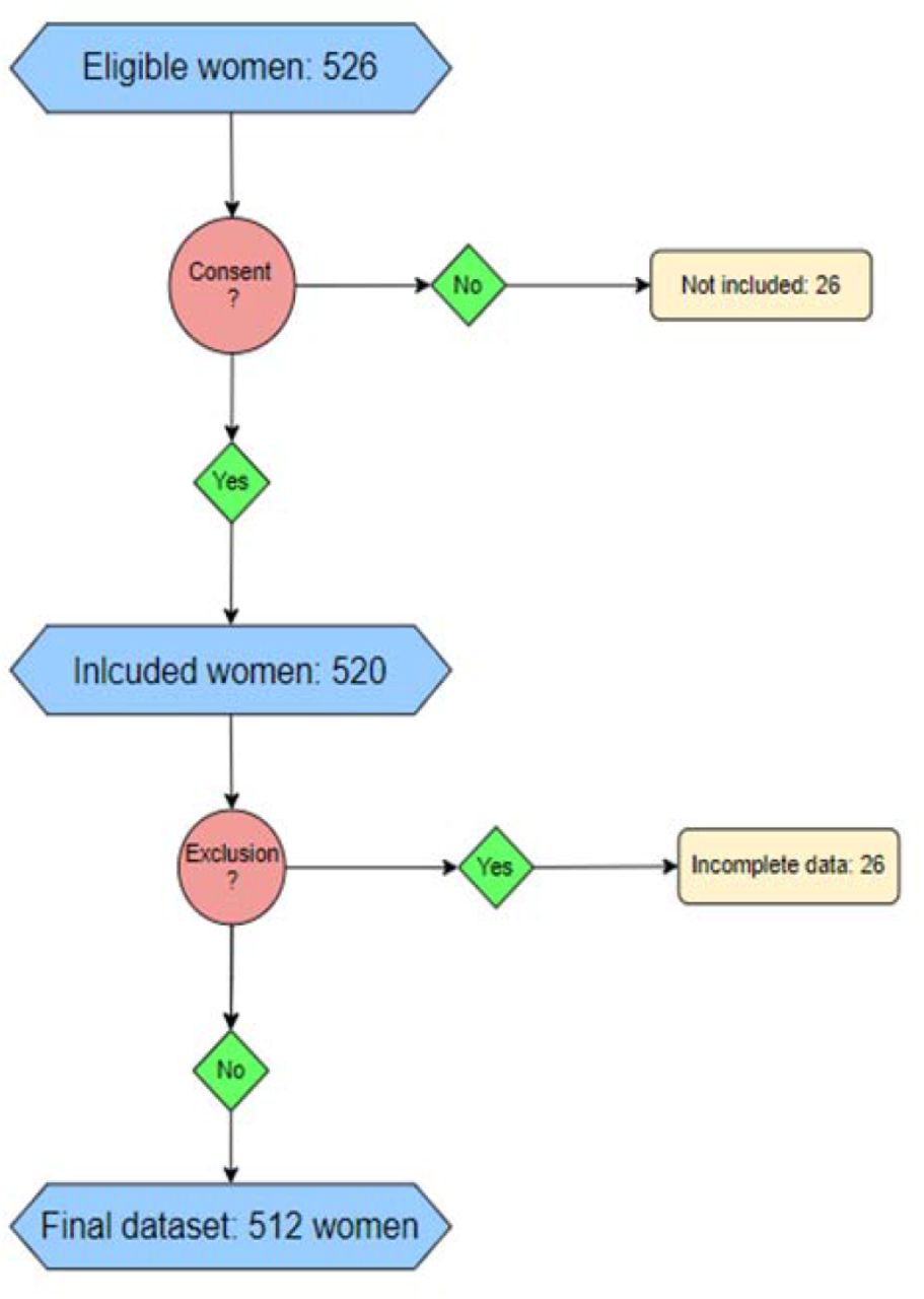 the inclusion flow diagram