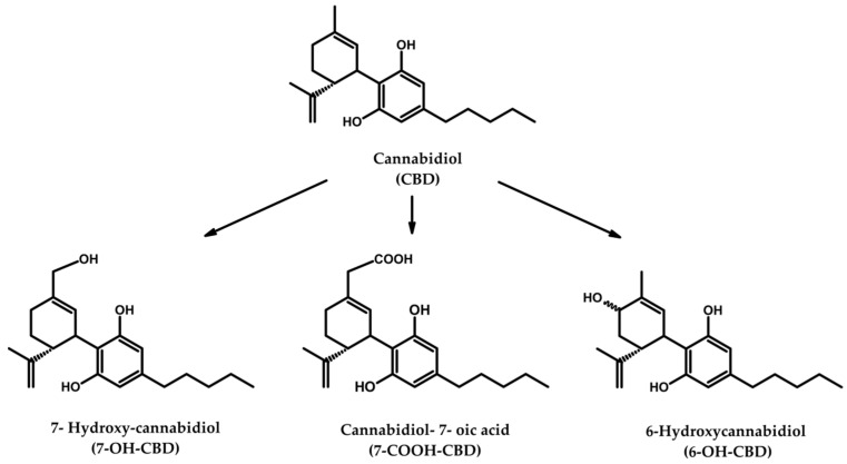 Chemical structure of CBD and its major metabolites.