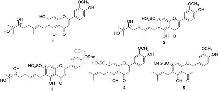 Chemical structure of cannflavin A and cannflavin B metabolites.
