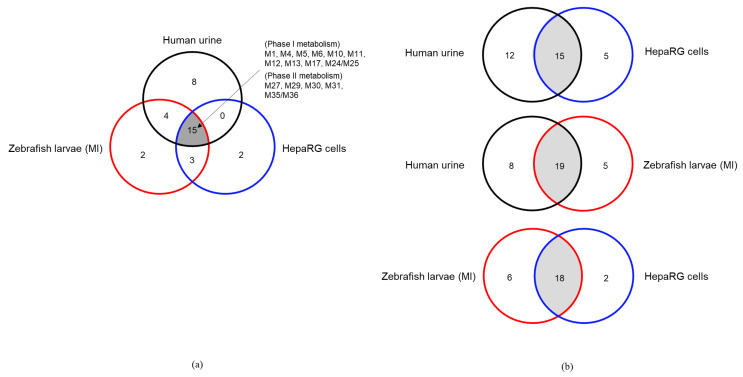 Comparison of the metabolites observed from the three models [human urine samples, zebrafish larvae (exposed via microinjection; MI), and HepaRG cells] using Venn diagrams. (a) Common metabolites detected among all models and (b) their mutual comparability.