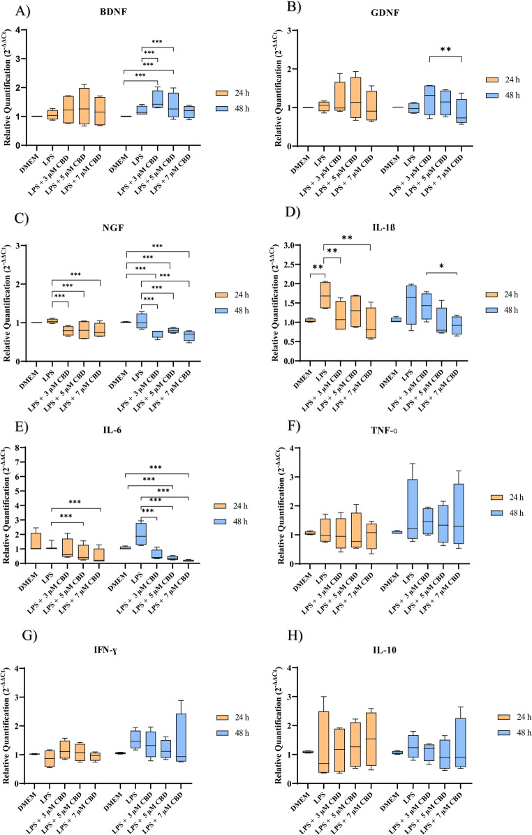 Relative expression of neurotrophic factors and cytokines in equine adipose tissue-derived mesenchymal stem cells (EqAT-MSCs) after 24 and 48 h of priming with 3 µM, 5 µM and 7 µM. cannabidiol (CBD)-rich extract. (A) BDNF, (B) GDNF, (C) NGF, (D) IL-1β, (E) IL-6, (F) TNF-ɑ, (G) IFN-ɣ (H) IL-10. Data are presented as medians, interquartile ranges, and minimum and maximum values. p values: p < 0.05*, p < 0.01**, p < 0.001***. BDNF: brain-derived neurotrophic factor; GDNF: glial cell-derived neurotrophic factor; NGF: nerve growth factor; IL-1β: interleukin 1 beta; IL-6: interleukin-6; IL-10: interleukin-10; IFN-γ: interferon gamma; TNF-α: tumor necrosis factor-alpha