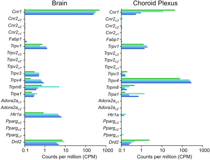 Expression of cannabidiol receptors present in control rat brain and choroid plexus at three developmental ages: E19, P5 and adult estimated from RNA-sequencing using average normalised counts per million, CPM, from EdgeR analysis. Bars are from top to bottom E19 (green), P5 (aqua), adult female (light blue) and adult male (dark blue). Counts, CPM, are displayed in Supplementary Table 5, datasets from Koehn et al. (2020, 2021). Where variants have been identified, these are shown as v1, v2 and v3, e.g. Ppargv3