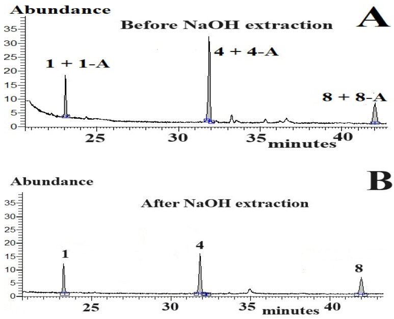 CBDs concentrations in processed hemp seeds (~0.5 g) using the GC-MS method and column programme A (injection volume: 1 µL). Parts of GC-MS chromatograms of hemp seed samples before (A) extraction with 0.1 M NaOH solution and after extraction (B) with 0.1 M NaOH solution. Concentration of detected CBDs-N: peak 1: CBDV—3.37 µg/g; peak 4: CBD—6.06 µg/g; peak 8: CBG—3.11 µg/g. Concentration of detected CBDs-A: peak 1-A: CBDV-A—1.32 µg/g; peak 4-A: CBD-A—3.39 µg/g; peak 8-A: CBG-A—1.01 µg/g. Blue lines under peaks—baselines under integrated peaks; □−−□—an integration range of peaks.