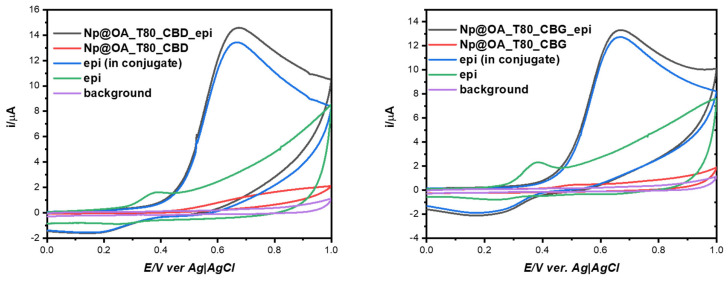 Cyclic voltammetry curves for SPION@OA_T80_CBD_epi (left panel, black curve) or SPION@OA_T80_CBG_epi (right panel, black curve). Blue curves show the background-subtracted CVs that were used to evaluate the amount of epirubicin contained in the conjugate. As background cyclic voltammograms we used conjugate deposited on the electrodes with no epirubicin (red curves). Purple voltammograms are for bare GCE electrode, whereas green curves are for epirubicin dissolved in the buffered supporting electrolyte.