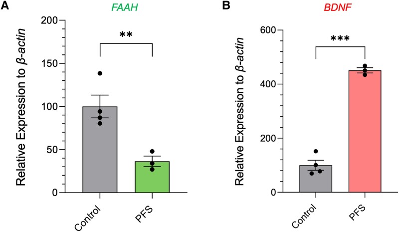 Differential gene expression in cells with FAAH-OUT microdeletion. (A) FAAH mRNA levels are reduced in patient fibroblasts. RT-qPCR analysis of FAAH mRNA levels in Patient PFS-derived fibroblasts showed significant reduction in FAAH mRNA levels when compared to four gender matched controls. (B) BDNF mRNA levels rise in patient fibroblasts. RT-qPCR analysis of BDNF mRNA levels in Patient PFS-derived fibroblasts showed a significant rise in BDNF mRNA levels when compared to the four gender matched controls. For A and B, data were normalized to the beta-actin gene as an endogenous control. The normalized expression value of control subjects was set to 100. Data-points are denoted by dots, bars show the ± SEM, and data analysed by Student’s t-test, **P ≤ 0.01, ***P ≤ 0.001.
