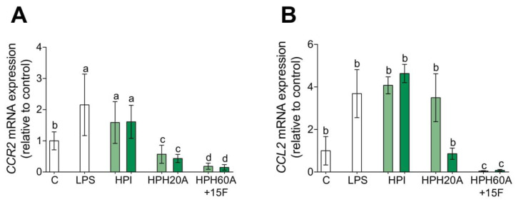 Effect of HPPs on chemotactic CCR2/CCL2 gene expression in LPS-stimulated primary human monocytes. Monocytes were activated with LPS (100 ng/mL) and then treated with HPI, HPH20A, and HPH60A15F at 50 (light green bar) and 100 (dark green bar) μg/mL for 24 h. Relative mRNA expression levels of CCR2 (A) and CCL2 (B) were detected by real-time quantitative PCR. Data are presented as means ± SD (n = 3) and the significantly different (p < 0.05) are labeled with contrasting letters.