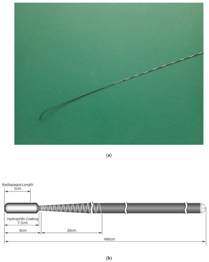 Properties of the M-Through guidewire (GW; Asahi Intecc Corp., Aichi, Japan). (a,b) The M-Through has a highly flexible 75 mm hydrophilic coated tip with a 50 mm (length) radiopaque jacket (schema provided by Hirata Company, Osaka, Japan).