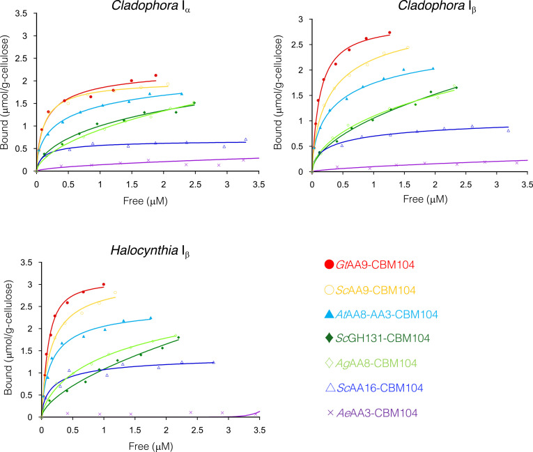 Adsorption isotherms of recombinant proteins on native crystalline celluloses. The concentration of recombinant CBM104s fused with RFP in the supernatant was measured after 2 h of incubation with each cellulose. Each measurement was performed in triplicate, and the plot represents the average of the three measurements. The data were fitted to the Hill equation.