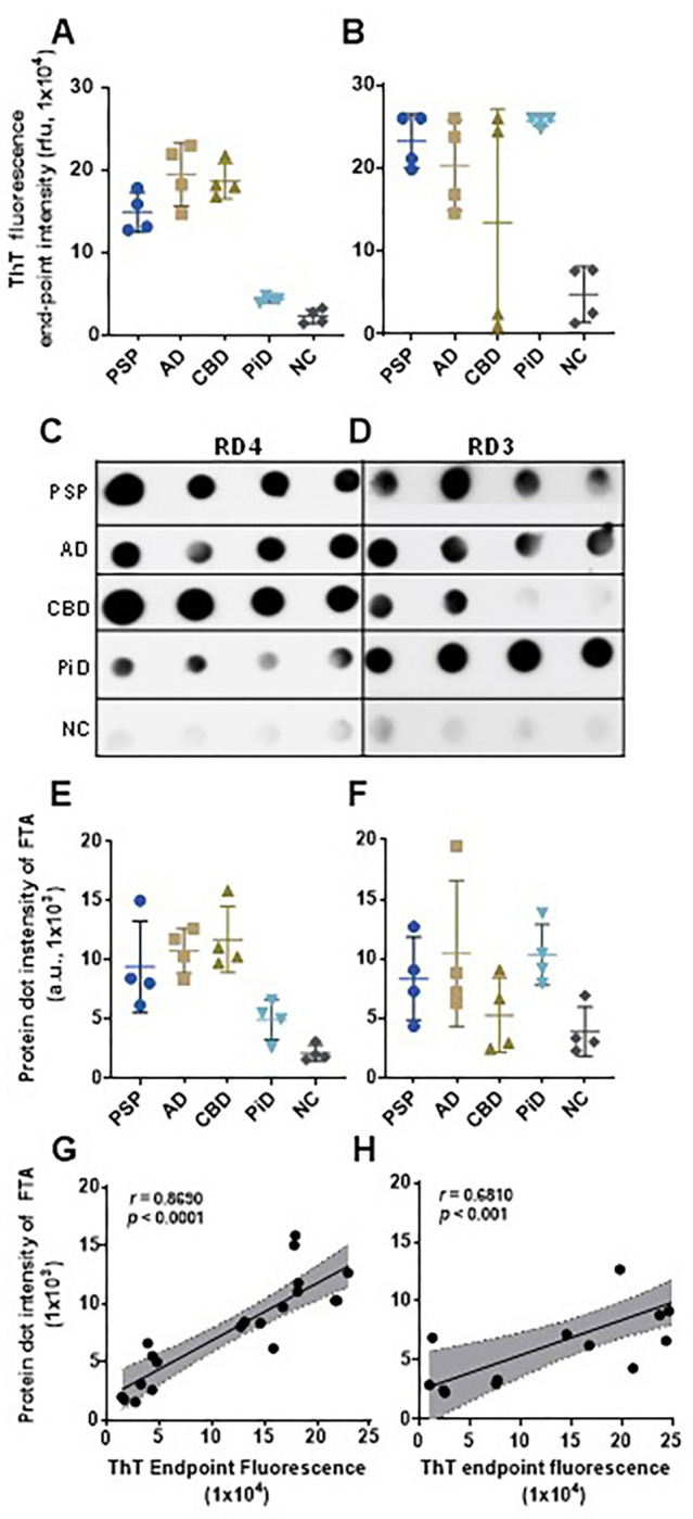 Characterization of RT-QuIC end products of skin tau from tauopathies using Filter-Trap Assay (FTA) probed with anti-3R (RD3) and anti-4R (RD4) tau antibodies.Scatter plots of ThT fluorescence values skin-tau RT-QuIC end products of selected samples from PSP (n = 4), AD (n = 4), CBD (n = 4), PiD (n = 4) and NC (n = 4), with (A) 4RCF and (B) 3RCF substrates. FTA assays of 3RCF-/4RCF-based RT-QuIC end products of skin samples from different tauopathies including PSP, AD, CBD, PiD and normal controls (4 cases for each group) probed with RD4 (C) or RD3 (D) antibodies. Densitometric quantification of density of FTA-dot blotting with 4RCF- (E) and 3RCF (F) -based RT-QuIC end products from panels (C) and (D). Correlation analysis between FTA-trapped protein dot intensity and skin tau-SA of 4RCF- (G)/3RCF(H) -based RT-QuIC end products.