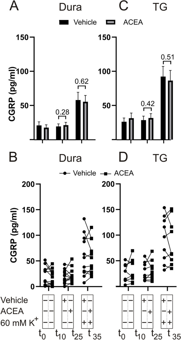 Effects of ACEA on K+-induced CGRP release from dura and TG. A Application of 140 nM ACEA did not cause a significant increase in CGRP release from the dura (n = 12). KCl (60 mM K+) caused a significant increase in CGRP release, which was not attenuated by the presence of ACEA. B Graphical illustration of the sample pairing. C Application of 140 nM ACEA had no effect on the CGRP release from the TG per se, nor on the release induced by 60 mM K+ (n = 12). D Graphical illustration of the sample pairing. B = baseline. Timeline in minutes are added on the lower panel. Data are shown as mean ± SEM or their individual data points with pairing, and with p values obtained with Student’s T-test being depicted in the graph (* = p < 0.05). For reference 100 pg/ml equals 26.4 pmol/l