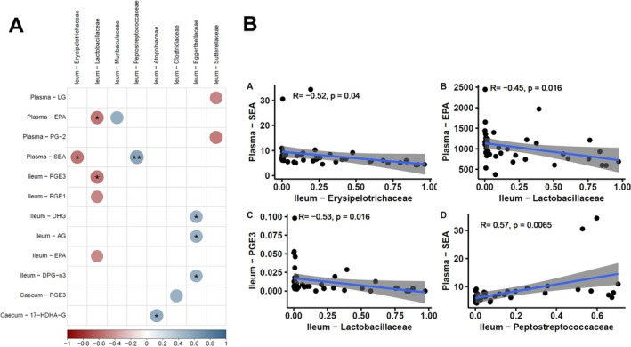 Correlation between ileum microbiota composition and lipid mediators in mice fed Mn‐depleted and ‐enriched LFLS or HFHS diets. (A) Heatmap illustrates Spearman correlation coefficients between the relative abundance of each microbial family and the level of eCBome mediators in plasma, ileum, and caecum. Significance was set at p < 0.05 (*) and p < 0.01 (**). (B) Scatterplots refer to the FDR‐adjusted Spearman rho correlations n = 47.