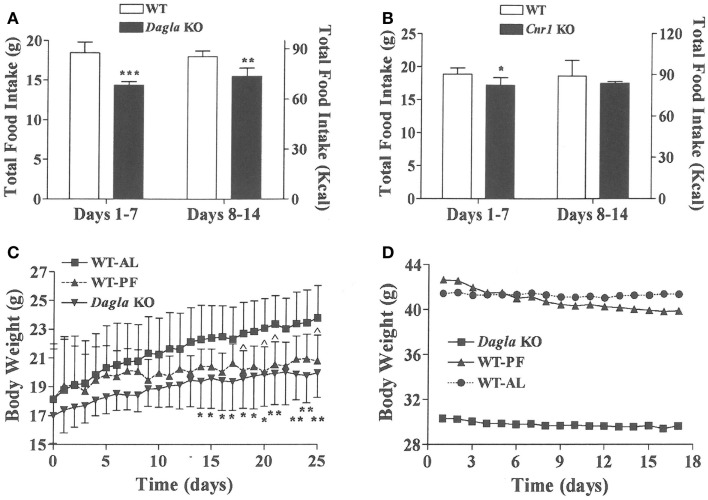 Decreased food intake by Dagla and Cnr1 KO mice at weaning. (A) Intake of HFD by Dagla male mice (three mice/cage, five cages/genotype). (B) Intake of HFD by Cnr1 male mice (two to three mice/cage, five cages/genotype). For (A,B), KO mice different from WT mice, *P < 0.05, **P < 0.01, ***P < 0.001. (C) Body weights of ad lib-fed Dagla KO mice, ad lib-fed WT littermate mice (WT-AL), and WT littermate mice that were pair-fed to the Dagla KO mice (WT-PF). Mice were individually housed weanling female littermates fed LFD; seven mice/group. KO mice different from WT-AL mice, *P < 0.05, **P < 0.01; WT-PF mice different from WT-AL mice, ^P < 0.05. (D) Body weights of ad lib-fed Dagla KO mice, ad lib-fed WT littermate mice (WT-AL), and WT littermate mice that were pair-fed to the Dagla KO mice (WT-PF). All mice were individually housed 27-week-old male littermates fed HFD; seven mice/group.