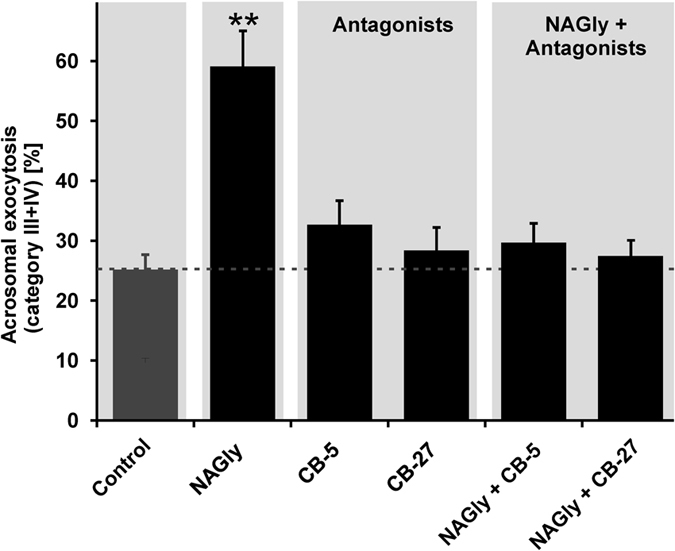 NAGly-induced effects are mediated via GPR18 in human spermatozoa.Quantification of acrosomal exocytosis (categories III-IV) upon co-stimulation of 1 μM NAGly and the selective GPR18 antagonists PSB-CB5 (1 μM) and PSB-CB27 (1 μM) using PNA-FITC. Stimulated cells (NAGly + antagonist) were compared to control cells (0.1% DMSO); four independent samples with a sperm population ranging from 143 to 260 cells per single experimental condition were analyzed. Values show the mean ± SEM (**p < 0.01, Student’s t-test).