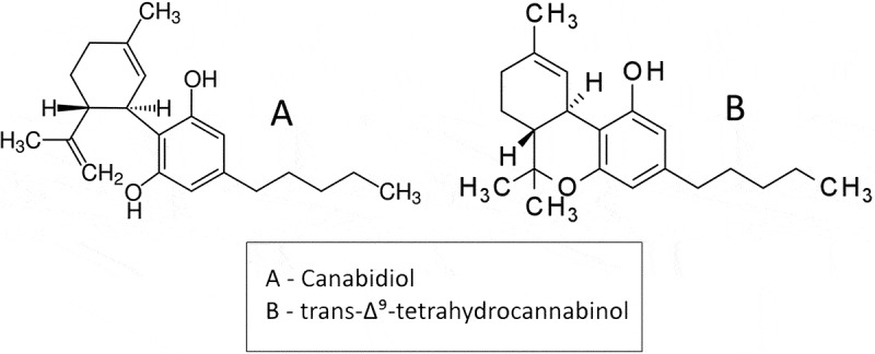 Line drawing chemical structures of cannabidiol (CBD) and trans-Δ⁹-tetrahydrocannabinol (THC)
