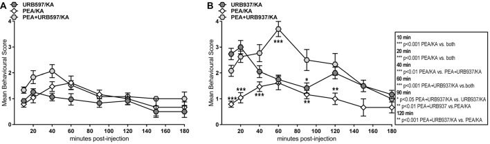 Behavior effects of URB597 and URB937 vs. PEA treatment of KA-induced epileptic mice. Behavioral scores were obtained over a time course of 180 min post KA-seizure induction in (A) URB597-treated (URB597/KA), and combined, PEA- and URB597-treated (PEA/URB597/KA) vs. acute PEA-treated (PEA/KA) mice, as well as in (B) URB937-treated (URB937/KA), and combined, PEA- and URB937-treated (PEA+URB937/KA) vs. acute PEA-treated (PEA/KA) mice. Error bars indicate SEM and asterisks in the figures indicate significant differences, *P < 0.05, **P < 0.01, ***P < 0.001.