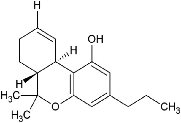 fimmu-13-982082-i008.jpg