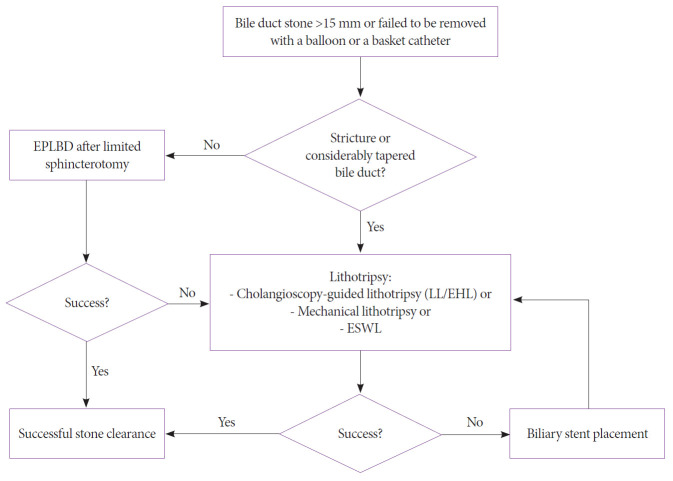 Recommendation for the management of difficult bile duct stones.