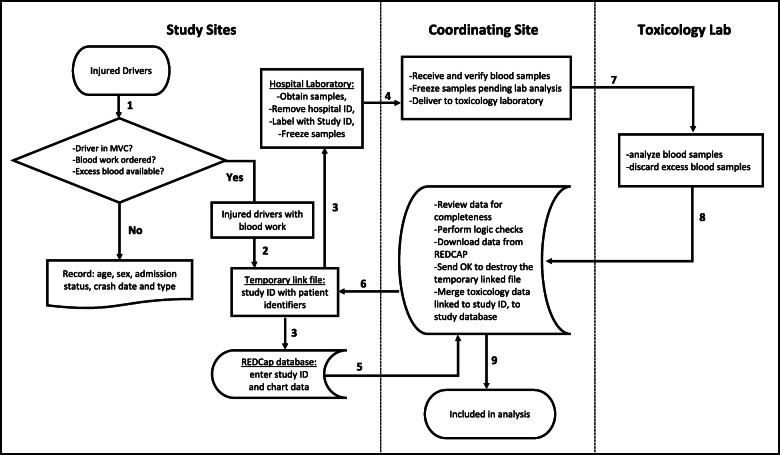 Flow chart of data handling procedures describing the process through which patients are enrolled in the study and data is de-identified. 1 Research assistants review the emergency department (ED) visit logs, identify injured drivers, and determine whether blood work is ordered. 2 Research assistants maintain a temporary link file between patient identifiers and study ID. 3 Chart data linked to study ID is entered into REDCap database. Only basic information is recorded for excluded drivers. The research assistant also provides the laboratory with a list of eligible drivers so that excess blood can be relabelled with study ID and frozen pending shipping to coordinating site. 4 Every 3 months, blood sample are shipped to the coordinating site. At the coordinating centre, blood samples are relabelled with a Toxicology ID replacing the study ID number. A permanent link between study ID number and toxicology ID is maintained at the coordinating site. 5 Once a month, the study coordinator reviews data (in REDCap) for completeness and to conduct error checks. 6 Once data is verified and downloaded, the study coordinator instructs the site research assistants to destroy the temporary link file. After this point there is no linkage between excess blood samples and personal identifiers. 7 The site coordinator sends blood to the toxicology lab for analysis. After blood is analyzed excess samples are destroyed. 8 Toxicology results are sent to study coordinator and linked the to study ID number. The research coordinator merges the results with chart review data. 9 Chart data and toxicology results are stored locally on a password protect computer in a locked office