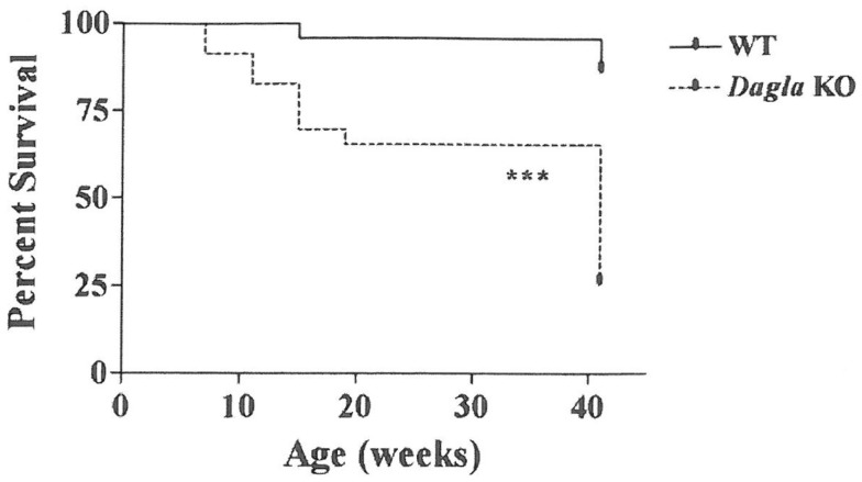 Decreased survival of Dagla KO mice. Survival curves of combined male and female Dagla KO mice and their WT littermates from weaning through 41 weeks of age. KO different from WT, ***P < 0.001.