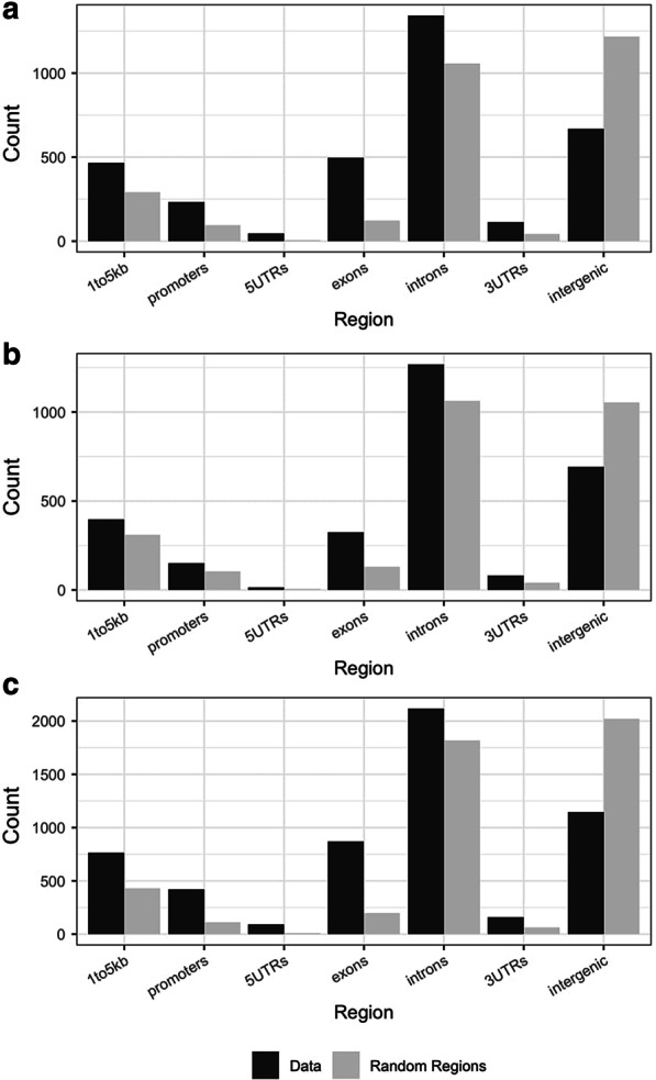 CBD DML distribution in genic regions. Distribution of differentially methylated loci (DML) counts in seven genic regions for a directly exposed F0 female cerebral cortex, b developmentally exposed F1 female cerebral cortex, and c developmentally exposed F1 female hippocampus compared to random distributions generated by the R package annotatr. Experimentally detected loci are shown in black, and randomized loci are in gray
