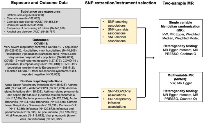 Study overview.Abbreviations: SNP: single nucleotide polymorphism; COVID-19: coronavirus disease 2019; IVW, Inverse Variance Weighted MR; SVMR; single variable Mendelian randomization; MVMR: multivariable Mendelian randomization