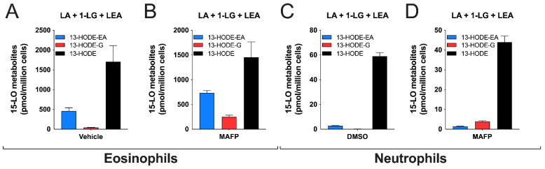 Substrate preference by human eosinophils and neutrophils. Pre-warmed (37 °C) human eosinophil suspensions (106 cells/mL in HBSS containing 1.6 mM CaCl2) or neutrophil suspensions (5 × 106 cells/mL in HBSS containing 1.6 mM CaCl2) were pre-treated with DMSO (A,C) or MAFP (B,D) for 5 min before the addition of a mixture of 1-LG, LEA, and LA at 3 μM each. Incubations were stopped after 5 min by the addition of one volume of cold (−20 °C) MeOH containing the internal standards. Samples then were processed for LC-MS/MS analyses as described in methods. Results are the mean (±SEM) of 4 independent experiments.