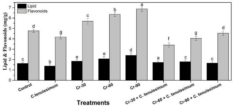 Bar chart comparing lipid and flavonoid content (mg/g) across different treatments: Control, C. tenuissimum, Cr-30, Cr-60, Cr-90, Cr-30 + C. tenuissimum, Cr-60 + C. tenuissimum, and Cr-90 + C. tenuissimum. Flavonoid content (gray) is higher than lipid content (black) in all treatments. Letters above bars indicate statistical significance.
