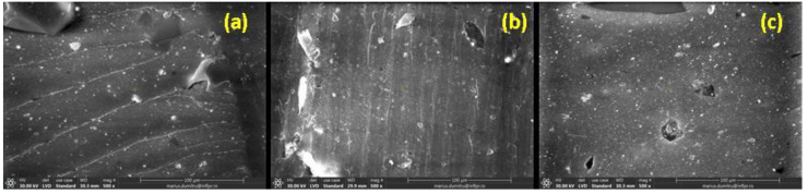 SEM micrographs of non-irradiated NR-U sample (a) and irradiated at 150 kGy (b) and 450 kGy (c) (magnification of 500).