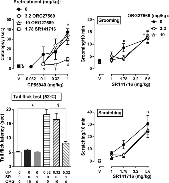 Effects of ORG27569 on CP55940-induced catalepsy (top left, n = 7–8), antinociception (top right, n = 6) and SR141716A-induced grooming (top right, n = 9–10) and scratching (bottom right, n = 9–10) behaviors in rats. Ordinate: top left, the duration of catalepsy (sec); bottom left, tail flick latency (sec); right, frequency of grooming (top) and scratching (bottom) behaviors as measured within a period of 10 min. Abscissa: dose of CP55940 (mg/kg, left) or dose of SR141716A (right). *P < 0.05 as compared to vehicle; $P < 0.05 as compared to CP55940 alone.