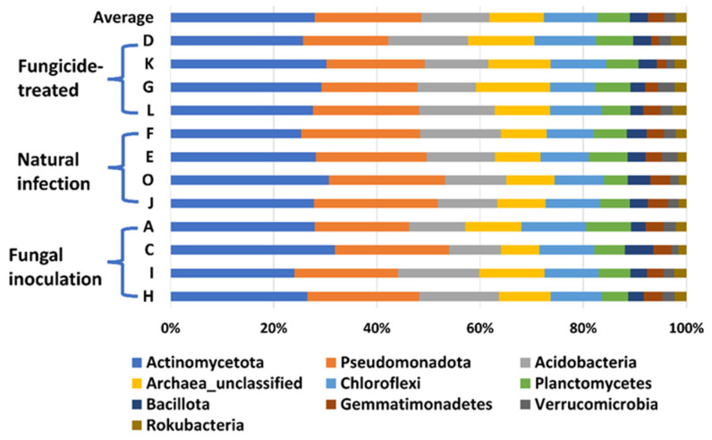 The relative abundance of the top 10 (out of 31) phyla of bacteria on the hemp rhizosphere at different treatments. Note: Otto II, BaOx, Wife, Cherry Citrus with fungicide treatment are denoted by D, K, G, L, respectively. Otto II, BaOx, Wife, Cherry Citrus with natural infection are represented by F, E, O, J, and Otto II, BaOx, Wife, Cherry Citrus with fungal inoculation are indicated by A, C, I, H.