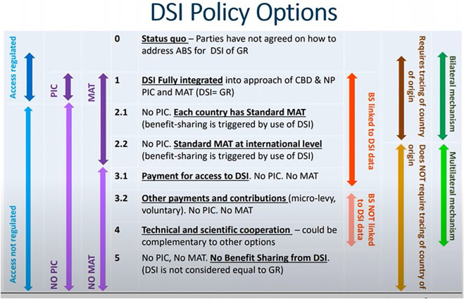 DSI policy options (United Nations Convention on Biological Diversity Open Ended Working Group, 2021).