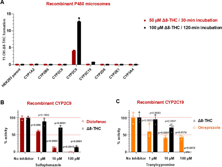 Screening of CYP enzymes responsible for the 11’-hydroxylation of Δ8-THC.(A) Major hepatic cytochrome P450 enzymes were incubated with Δ8-THC for 30 min (50 μM, red) or 120 min (100 μM, black); enzyme activities are indicated by levels of 11-OH-Δ8-THC formation. (B) Chemical inhibition of recombinant CYP2C9 microsomes incubated with diclofenac (red) or Δ8-THC (black) by 0, 1, 10 or 100 μM sulfaphenazole. (C) Chemical inhibition of recombinant CYP2C19 microsomes incubated with omeprazole (orange) or Δ8-THC (black) by 0, 1, 10 or 100 μM tranylcypromine. Comparisons were assessed using a two-sided Student’s t-test, with all tests considered statistically significant at P < 0.05 (significant values shown in bold). All experiments were performed in triplicate. Statistical analysis was conducted using GraphPad Prism 10.0 (GraphPad Software, San Diego, CA).