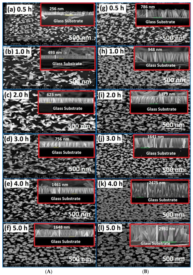 FE-SEM images of ZnO nanorods grownup for different growth periods: (A) no air bubbles and (B) air bubbles. The inset at the top-right corner represents the cross-section of ZnO nanorods for each growth time representing the cross-section of nanorods. ((a,g) for 0.5 h, (b,h) for 1.0 h, (c,i) for 2.0 h, (d,j) for 3.0 h, (e,k) for 4.0 h, (f,l) for 5.0 h growth time respectively).