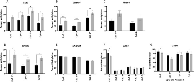 Bisulfite pyrosequencing of sperm DNA from nicotine exposed rats compared to controls. Bar graphs showing bisulfite pyrosequencing results from sperm of nicotine exposed (gray) versus control (black) rats for (A) Syt3; (B) Lrrtm4; (C) Nrxn1; (D) Nrxn3; (E) Shank1: (F) Dlg4; and (G) Grid1. Error bars represent the SEM across samples. *p < 0.05; **p < 0.01; ***p < 0.005; unadjusted values. The CpG site labeled with “^” represents the site that was initially identified in the RRBS dataset.