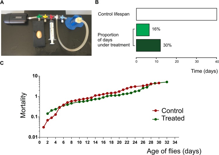 Chronic exposure of D. melanogaster to vaporized herbal Cannabis sp. does not affect lifespan. (A) Device connected to a vaporizer designed for providing air or marijuana into a vial containing flies. (B) Representation of the lifespan percentage of flies under treatment. (C) Mortality of treated (green) and non-treated (red) adult flies was represented throughout the life of two synchronized populations of adult flies that emerged from puparium. Air: N=196, treated: N=170. Statistical comparison and curves were obtained using the Kaplan–Meier method and analyzed using the log-rank (Mantel-Cox) test.